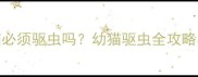 五个月大加菲猫必须驱虫吗幼猫驱虫全攻略与科学护理指南