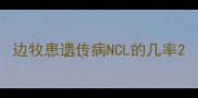 边牧患遗传病NCL的几率