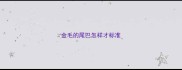 金毛的尾巴怎样才标准