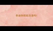 泰迪例假能洗澡吗