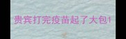 贵宾打完疫苗起了大包