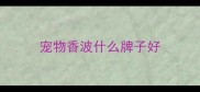 宠物香波什么牌子好