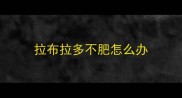 拉布拉多不肥怎么办