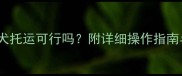 两个月泰迪犬托运可行吗附详细操作指南与避坑要点