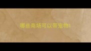 哪些商场可以带宠物