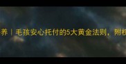 上海高端宠物寄养毛孩安心托付的5大黄金法则附权威机构认证清单