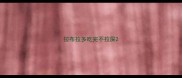 拉布拉多吃完不拉屎