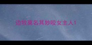 边牧莫名其妙咬女主人