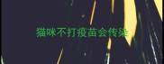 猫咪不打疫苗会传染