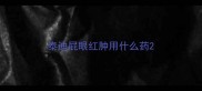 泰迪屁眼红肿用什么药