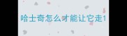 哈士奇怎么才能让它走