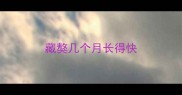 藏獒几个月长得快