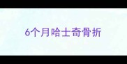 6个月哈士奇骨折