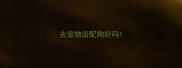 去宠物店配狗好吗