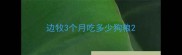 边牧3个月吃多少狗粮