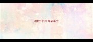 边牧3个月耳朵半立