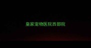 皇家宠物医院西部院