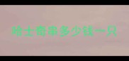 哈士奇串多少钱一只