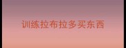 训练拉布拉多买东西
