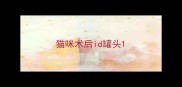 猫咪术后id罐头
