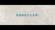 泰迪狗吃什么水果