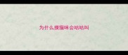 为什么摸猫咪会咕咕叫