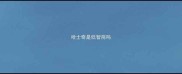 哈士奇是低智商吗