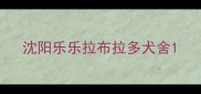 沈阳乐乐拉布拉多犬舍
