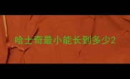 哈士奇最小能长到多少