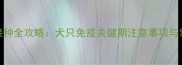 狂犬疫苗3针接种全攻略犬只免疫关键期注意事项与常见问题解答