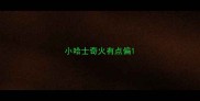 小哈士奇火有点偏