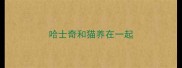 哈士奇和猫养在一起
