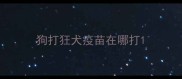 狗打狂犬疫苗在哪打