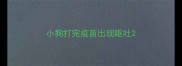 小狗打完疫苗出现呕吐