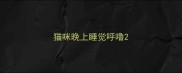 猫咪晚上睡觉呼噜