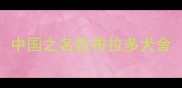 中国之名拉布拉多犬舍