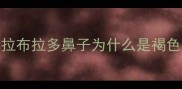 拉布拉多鼻子为什么是褐色