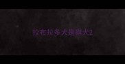 拉布拉多犬是猎犬
