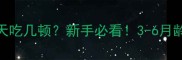 幼年哈士奇一天吃几顿新手必看3-6月龄科学喂养全攻略