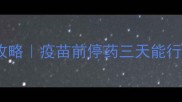 狗狗疫苗前三天停药全攻略疫苗前停药三天能行吗附停药后护理干货