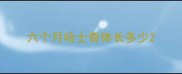 六个月哈士奇体长多少