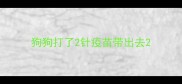狗狗打了2针疫苗带出去