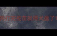 狗打完疫苗就得犬瘟了
