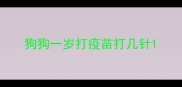狗狗一岁打疫苗打几针