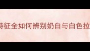 最新版奶白色拉布拉多幼犬特征全如何辨别奶白与白色拉布拉多新手必看保姆级教程