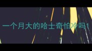 一个月大的哈士奇怕冷吗