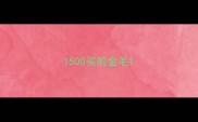1500买的金毛