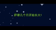 萨摩几个月开始长大