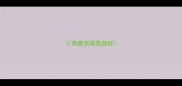 小狗窒息吸氧就好