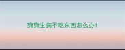 狗狗生病不吃东西怎么办